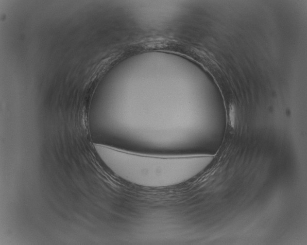X0000071861444200606301050