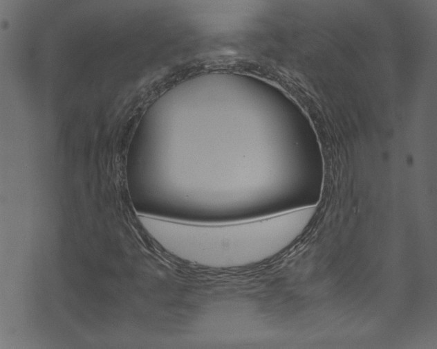 X0000071861445200606301050