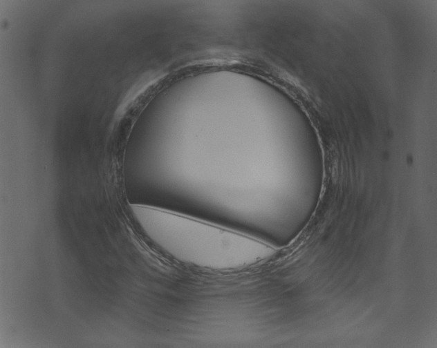 X0000071861448200606301050