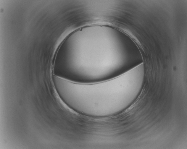 X0000071861484200606301049