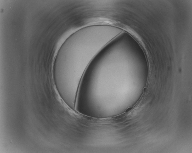 X0000071861488200606301049