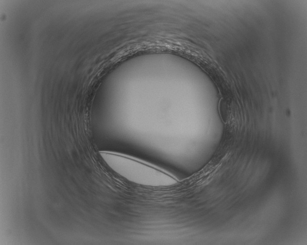 X0000071861490200606301048
