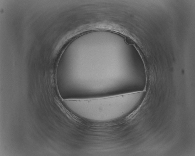 X0000071861499200606301049