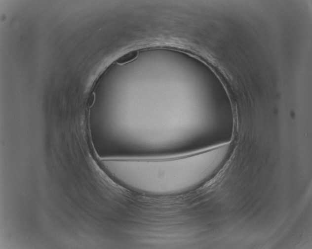 X0000071861500200606301049