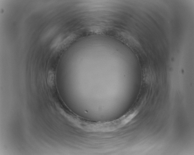 X0000071860036200606301413