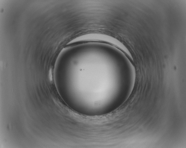 X0000071860042200606301413