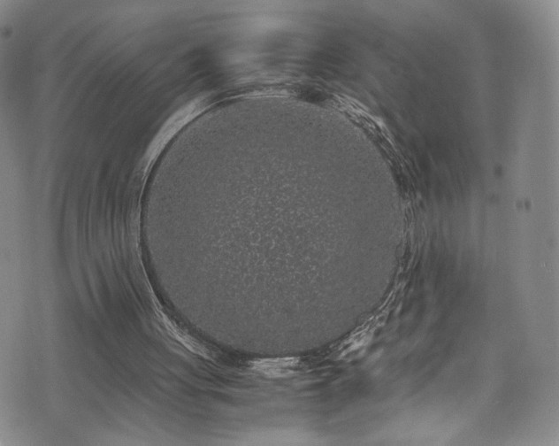 X0000071860051200606301412