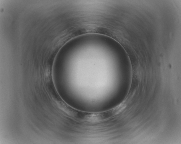 X0000071860082200606301412