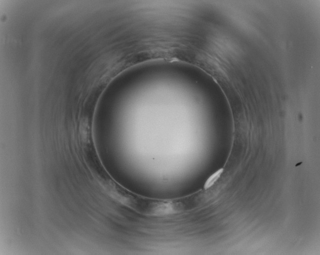 X0000071860083200606301412