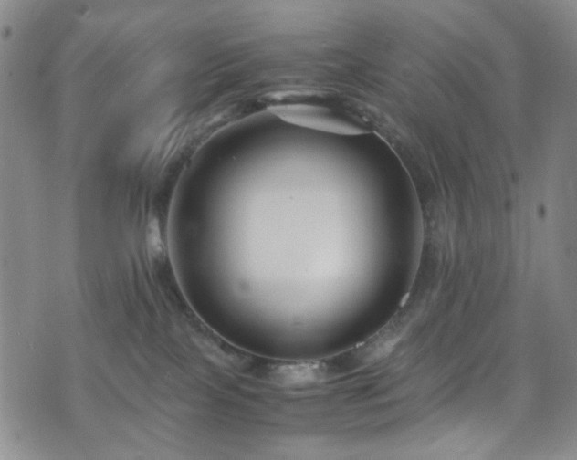 X0000071860089200606301413