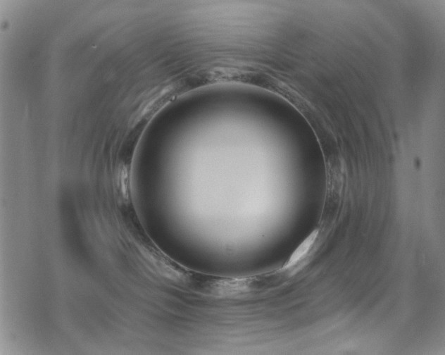 X0000071860094200606301413