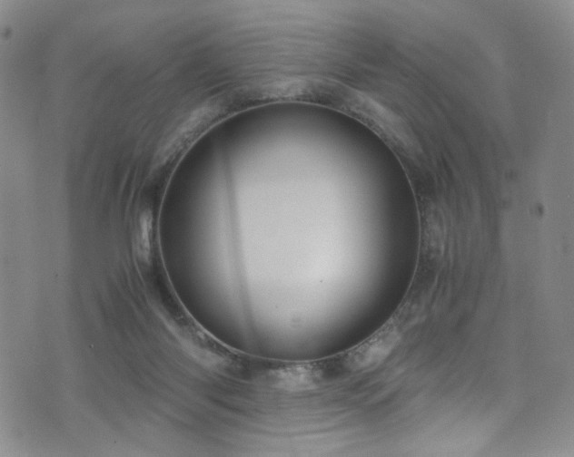 X0000071860118200606301412