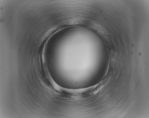 X0000071860164200606301411