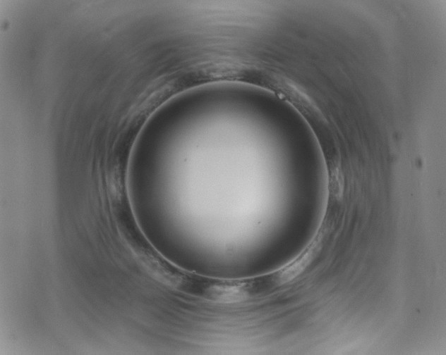 X0000071860170200606301411