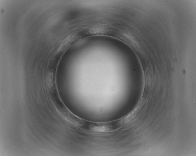 X0000071860171200606301411
