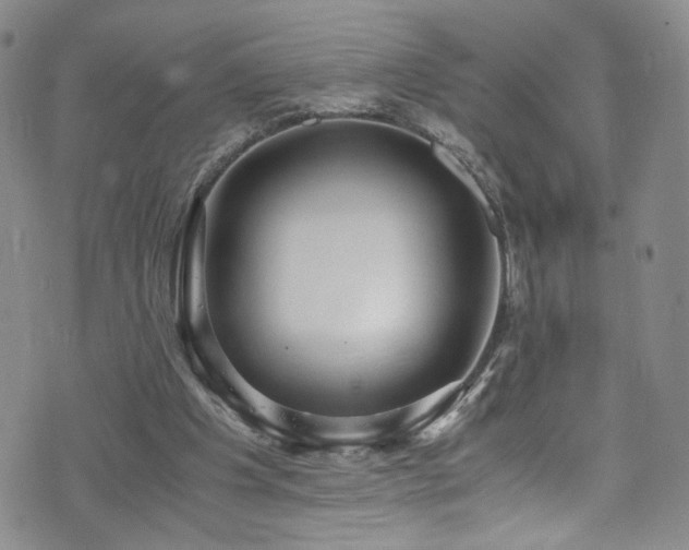 X0000071860201200606301410