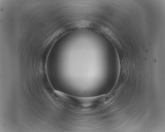 X0000071860212200606301410
