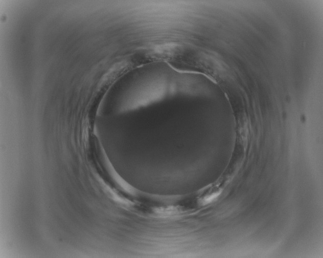 X0000071860231200606301410