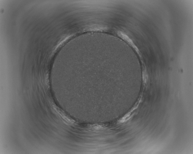 X0000071860249200606301409