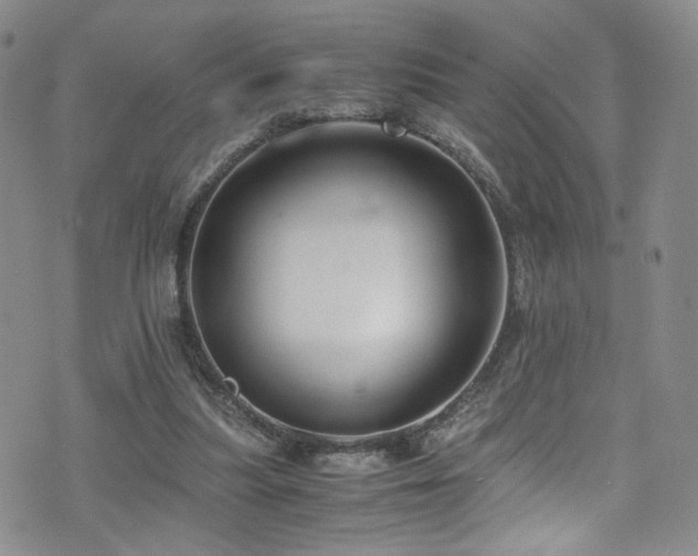 X0000071860251200606301409