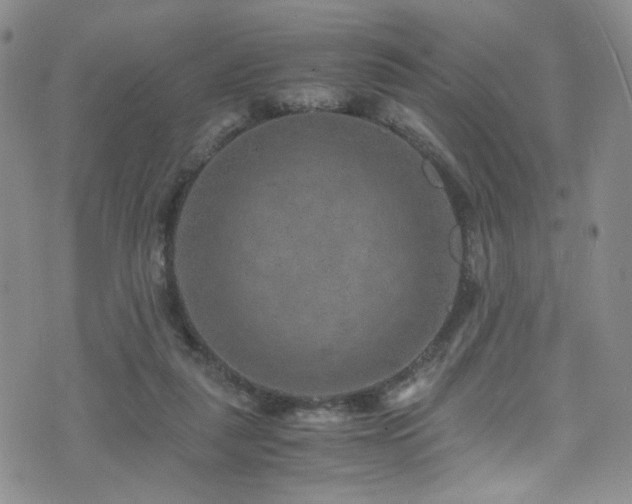 X0000071860259200606301409