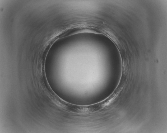 X0000071860301200606301409