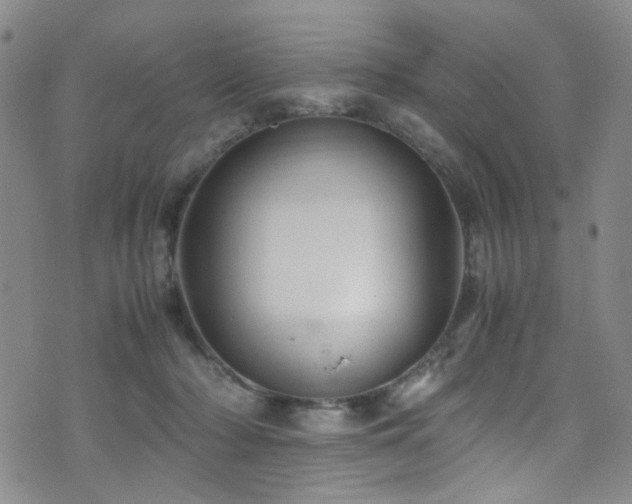 X0000071860318200606301408