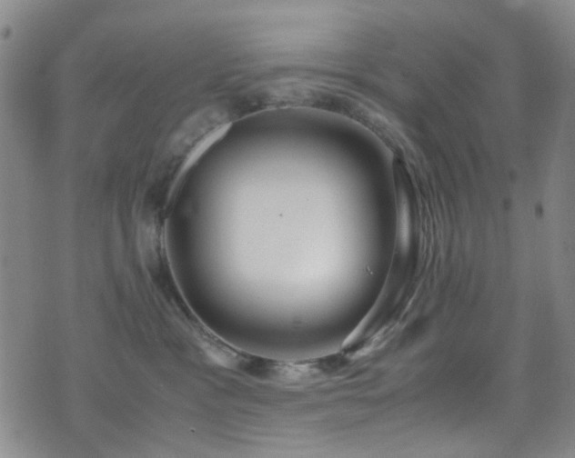 X0000071860333200606301408