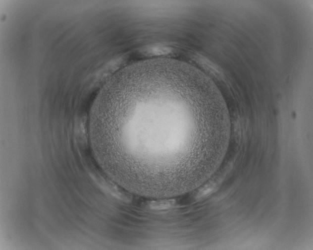 X0000071860373200606301408