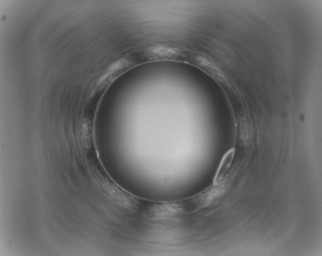 X0000071860378200606301408