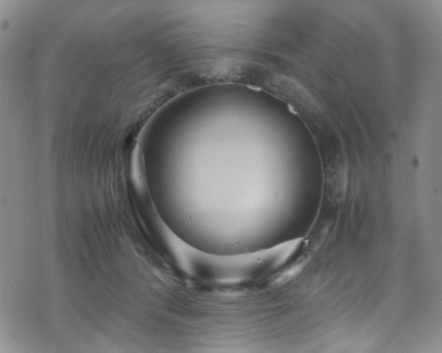 X0000071860416200606301407