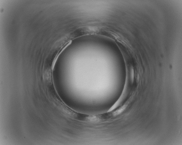 X0000071860425200606301407