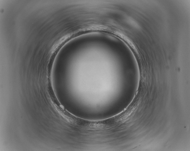 X0000071860437200606301406