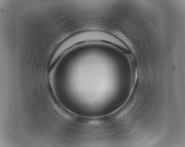 X0000071860441200606301406