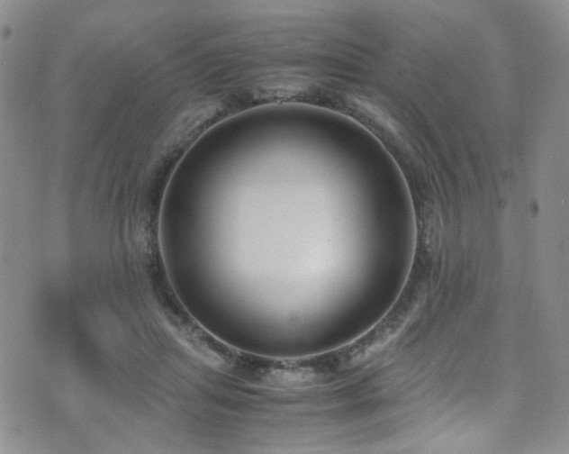 X0000071860455200606301406