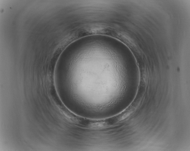 X0000071860461200606301406