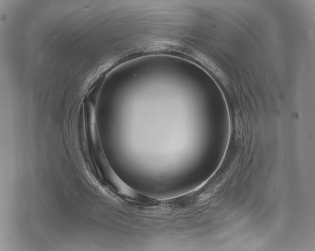 X0000071860485200606301406