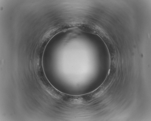 X0000071860548200606301404