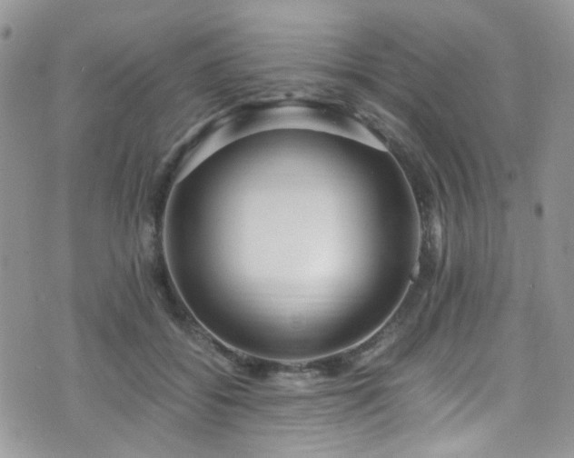 X0000071860556200606301405