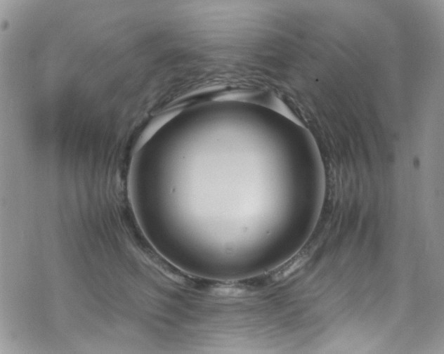 X0000071860614200606301404
