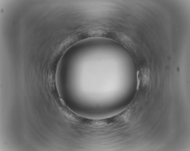 X0000071860619200606301403