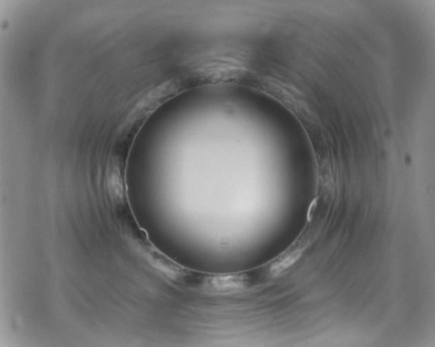 X0000071860622200606301403