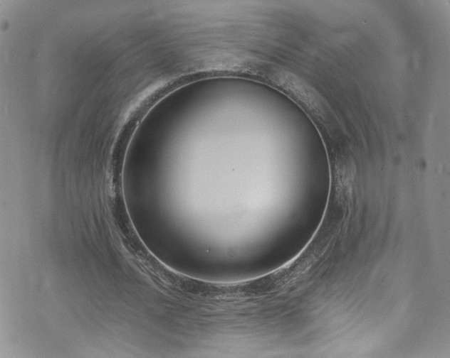 X0000071860628200606301403