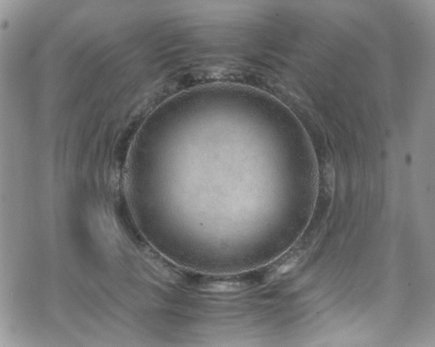 X0000071860657200606301403
