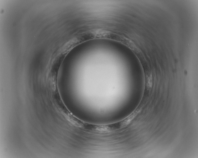 X0000071860666200606301403