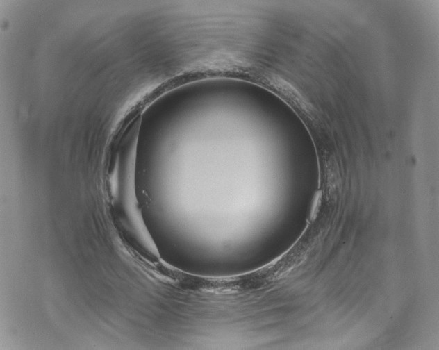 X0000071860680200606301402