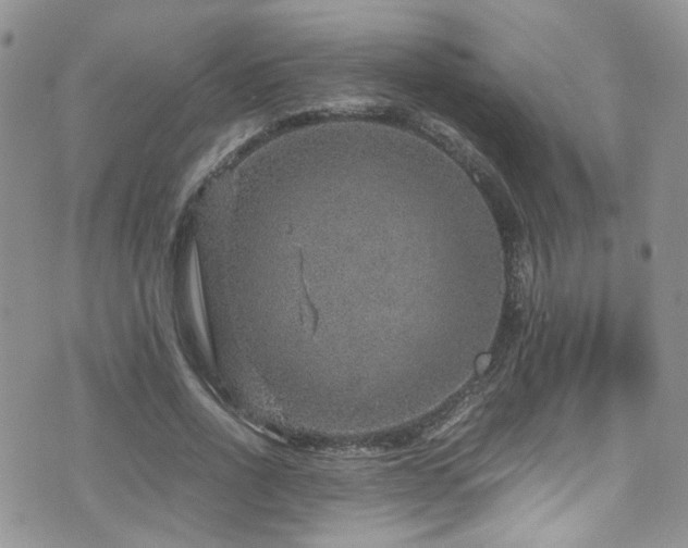 X0000071860734200606301401