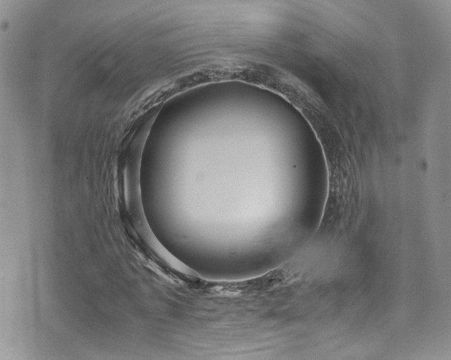 X0000071860773200606301401