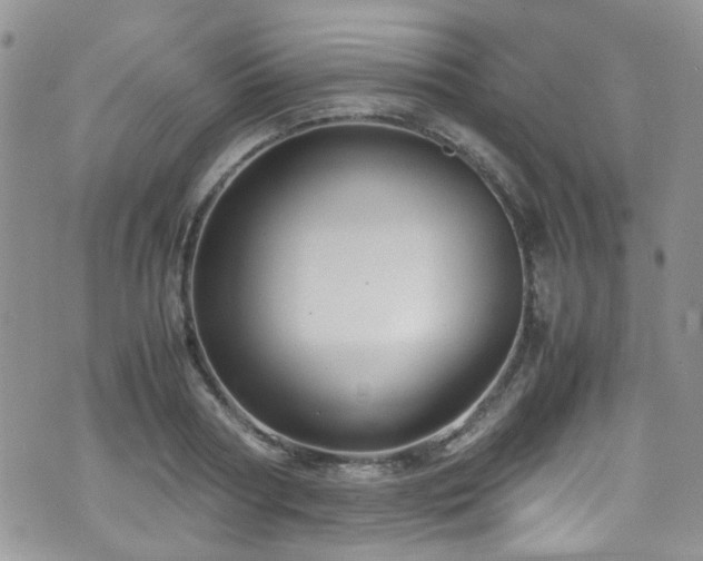X0000071860794200606301401