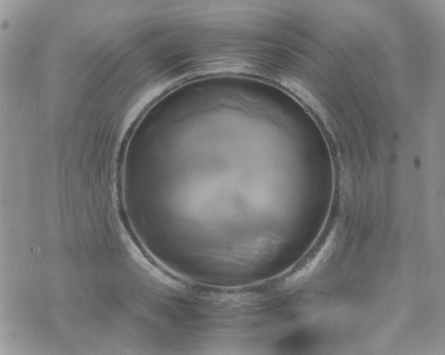 X0000071860941200606301358